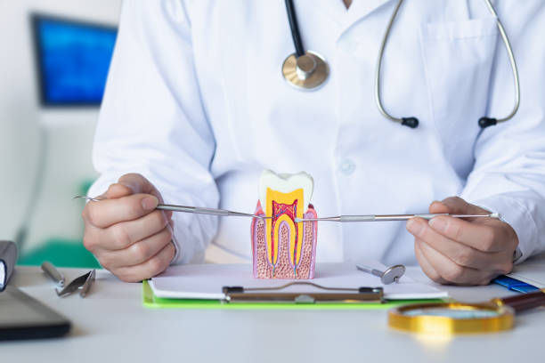 Best Walk-In Emergency Dentist in Martinsburg, PA